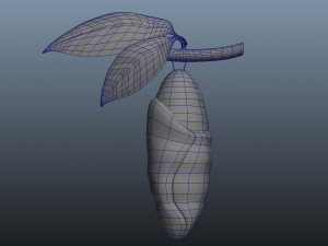 butterfly anatomy 3D-Modell