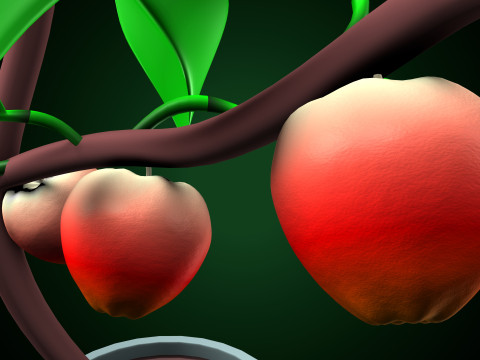 Apple plant 3D-Modell