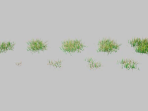 Grass 3D Model