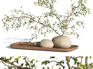 Plant Decor 3Dモデル