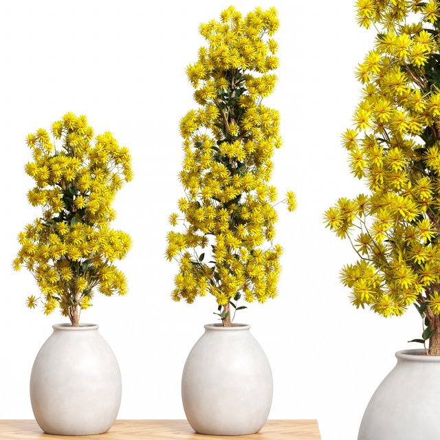 Flowers Set 02 Model 3D .c4d .max .obj .3ds .fbx .stl .blend 