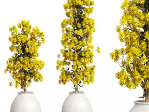 Набор цветов 02 3D Модель