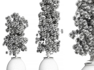 Flowers Set 02 Model 3D