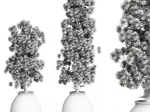 Набор цветов 02 3D Модель