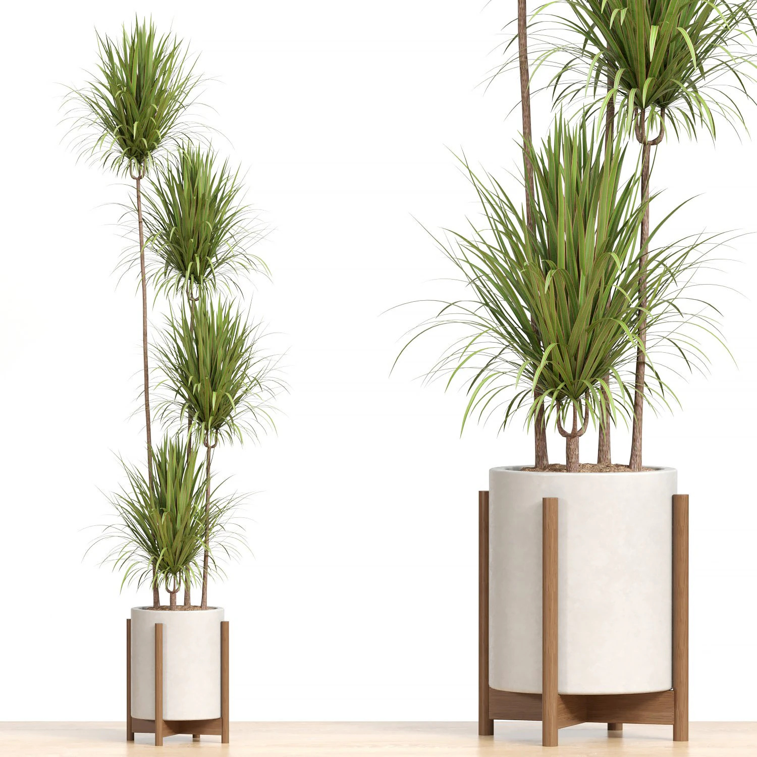 Indoor Plant 01 3D Model .c4d .max .obj .3ds .fbx .stl .blend 