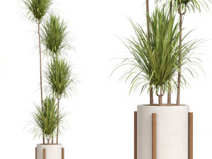 Indoor Plant 01 3D Model