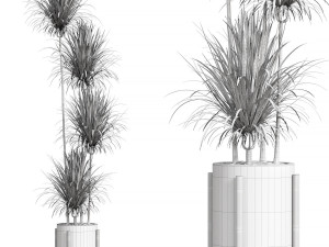 Indoor Plant 01 3D Model