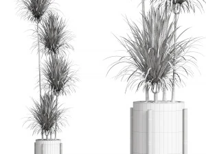 Indoor Plant 01 3D Model