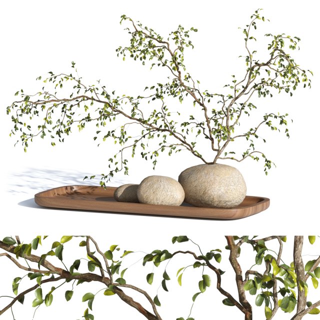 Plant Decor 3D Model .c4d .max .obj .3ds .fbx .stl .blend 