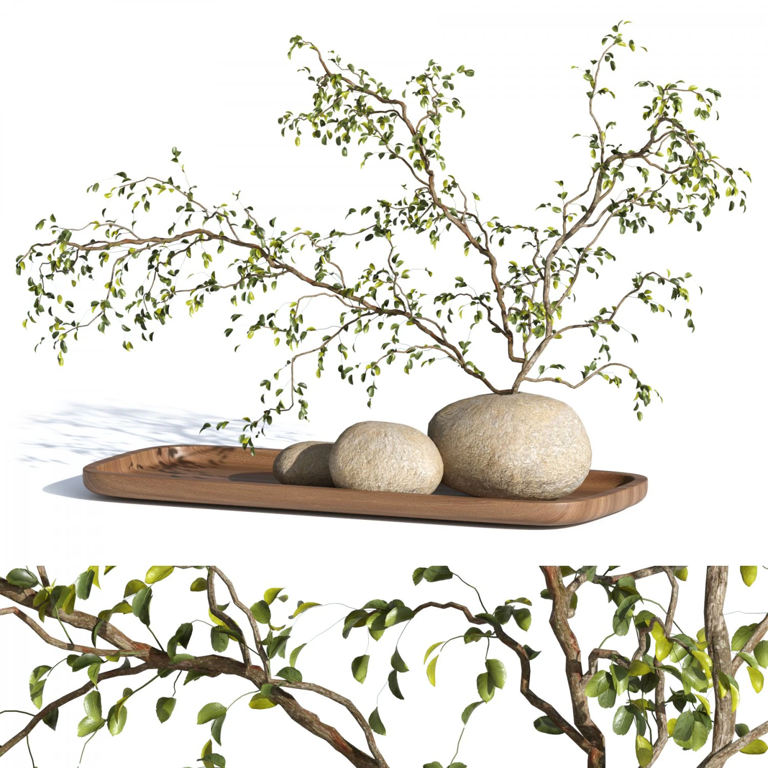 Plant Decor 3D Model .c4d .max .obj .3ds .fbx .stl .blend