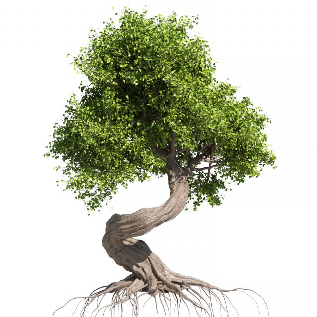 Tree Set 1 3D Model .c4d .max .obj .3ds .fbx .stl .blend 