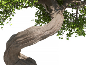 Tree Set 1 3D Model