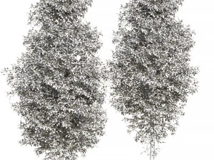 Tree Set 02 3D Model