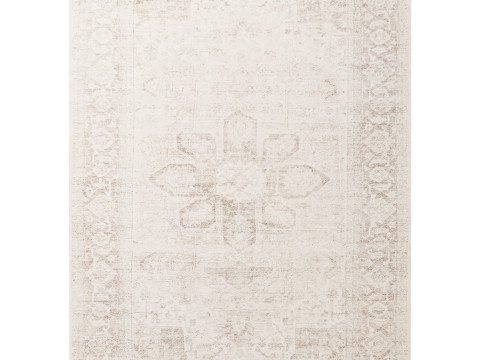Patina Rug Modelo 3D