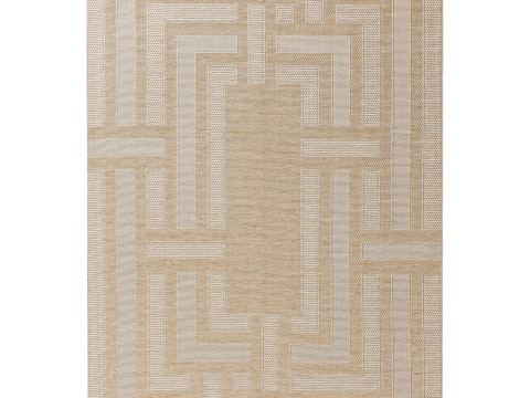 Outdoor Rug Bronco Cream 05 Modèle 3D