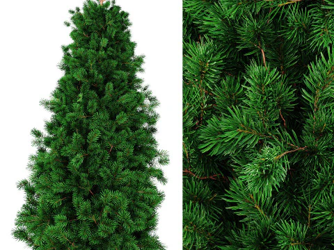 Jintan saru Model 3D