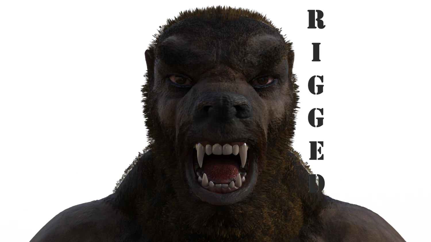 werewolf rigged 3D Model .c4d .max .obj .3ds .fbx .stl .blend 