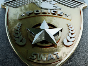 swat police badge photorealistic pbr low-poly  3D Model