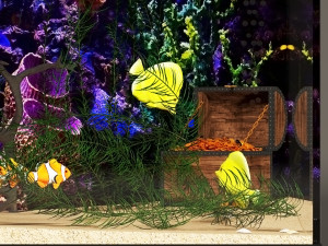 Aquarium Modèle 3D