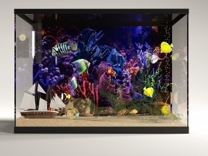 Aquarium Modèle 3D