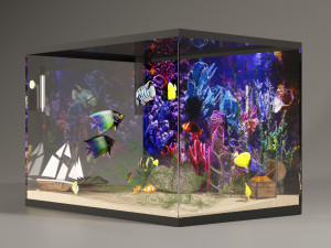 large rectangular aquarium 3D Model in Fish 3DExport
