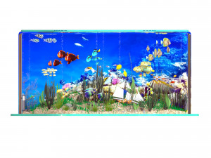 Aquarium 3D Model