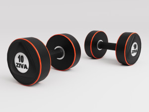 Dumbbells 3D Model