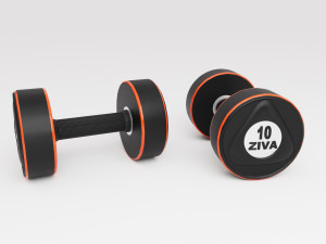Dumbbells Model 3D