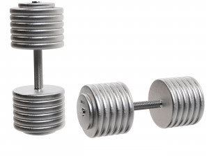 Set of 20 dumbbells from 5 to 100 kg 3D Model