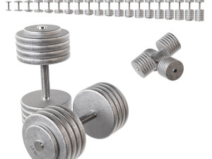 Set of 20 dumbbells from 5 to 100 kg 3D मॉडल