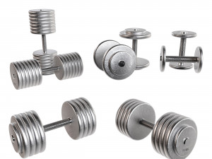 Set of 20 dumbbells from 5 to 100 kg 3D मॉडल