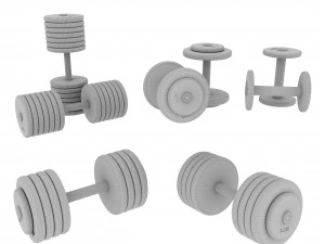 Conjunto de 20 halteres de 5 a 100 kg Modelo 3D