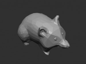 Raccoon-Fox Modello 3D
