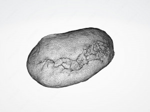 sourdough bread 3Dモデル