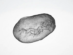 sourdough bread 3D Model