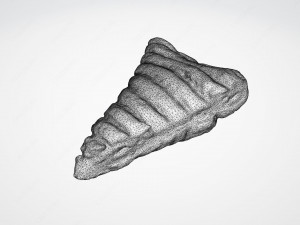 apple turnover 3D Модель