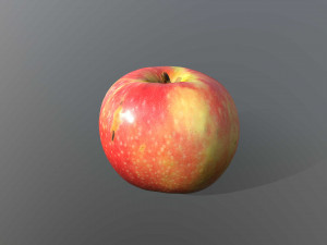 pink lady apple 3D Model