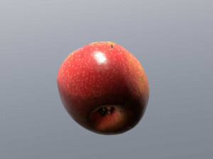 pink lady apple 3D Model