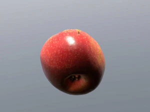 pink lady apple 3D Model
