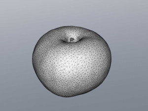 pink lady apple 3D Model