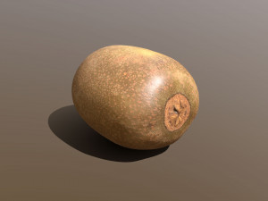 golden kiwi 3D Model