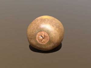 golden kiwi 3D Modell