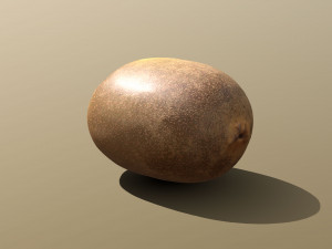 golden kiwi 3D Modell