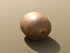 golden kiwi 3D Modell