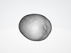 golden kiwi 3D Modell
