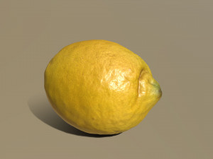 lemon 3D Model
