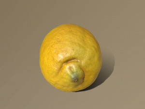 lemon 3D Model