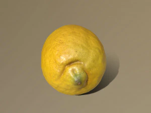 lemon 3D Model