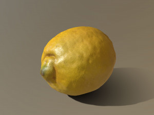 lemon 3D Model
