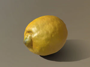 lemon 3D Model
